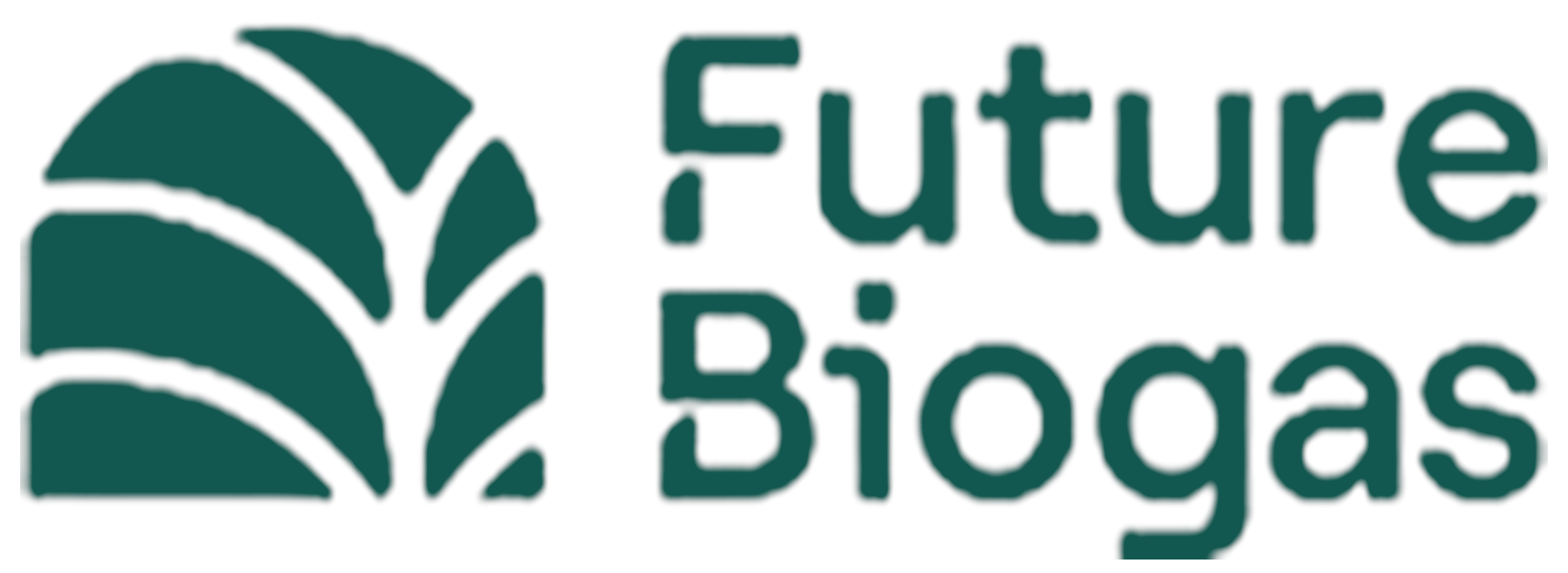 Future Biogas